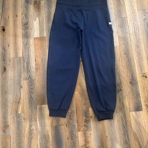 Dusty Blue Vuori Jogger Pants Size L